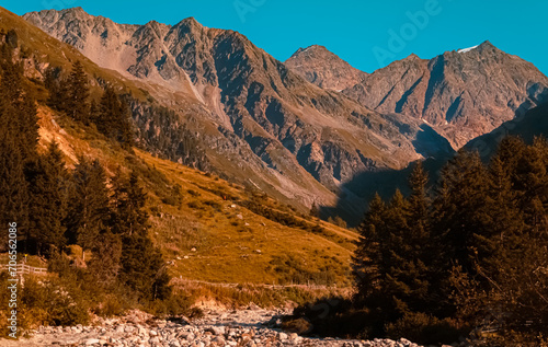 Alpine summer view near Mittelberg  Pitztal valley  Imst  Tyrol  Austria