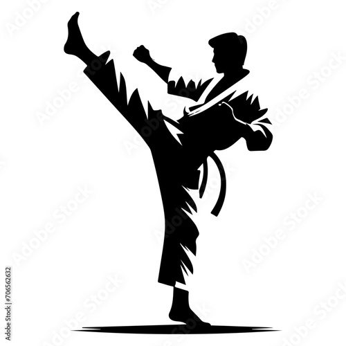 Obraz na płótnie minimal Karate kick vector silhouette, black color silhouette w salonie