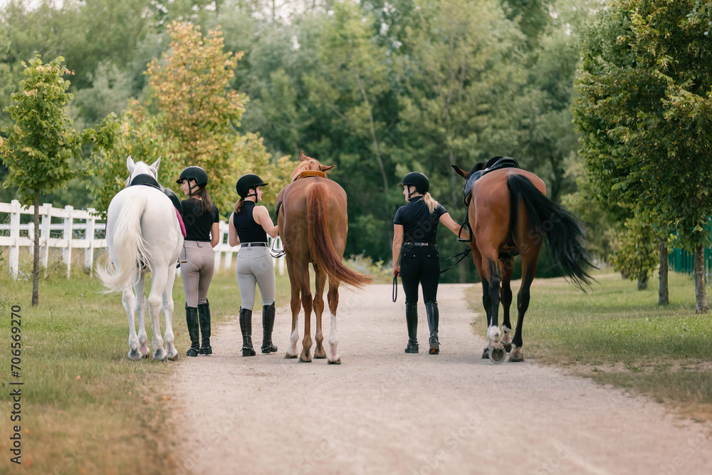 Female riders in equestrian clothes holding the reins and leading her beautiful saddled chestnut horse. Horseback riding activity concept.
