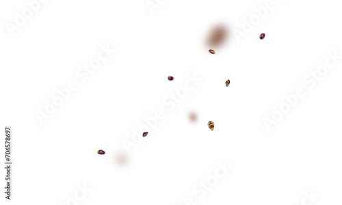 falling beans png overly on white background
