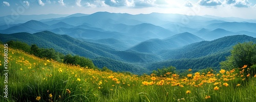 A view of the Bieszczady mountains in spring, capturing the vibrant awakening of nature and the scenic beauty of the lush green landscape