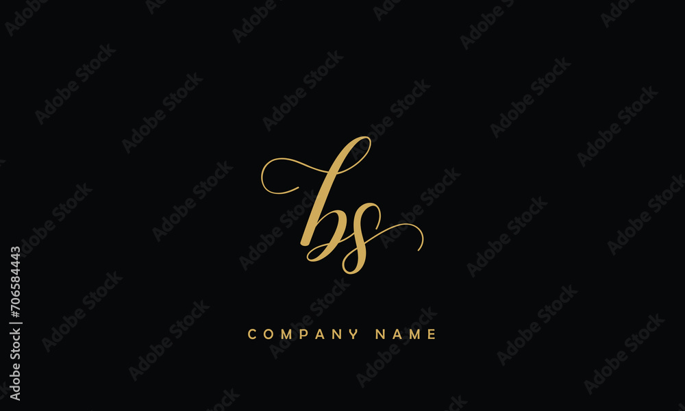 BS, SB, B, S Abstract Letters Logo Monogram BS, SB, B, S Abstract Letters Logo Monogram