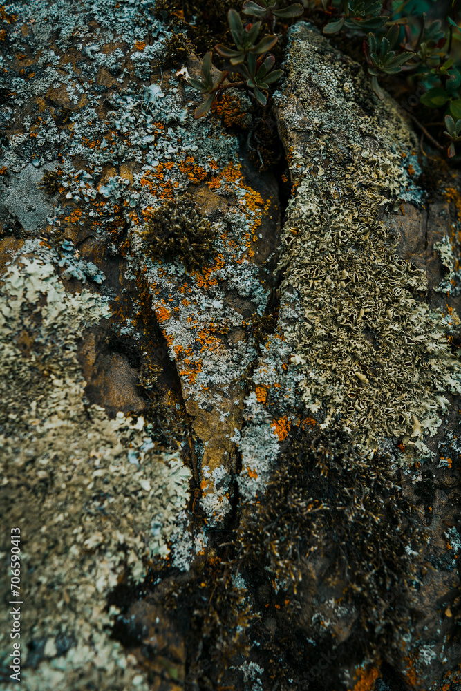 Ancient rock formation with moss and lichen. Abstract stone background Beauty in nature, natural organic backdrop. Ancient rock formation with moss and lichen. Abstract stone background Beauty in nature, natural organic backdrop.
