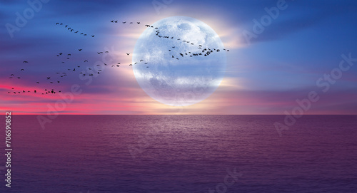 Fototapeta Naklejka Na Ścianę i Meble -  Night view of flock of migration birds  flying over a blue full moon - Migration of birds during autumn 
