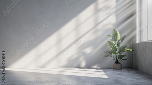 Potted Plant in Corner of Room, A Simple and Natural Addition to Any Space