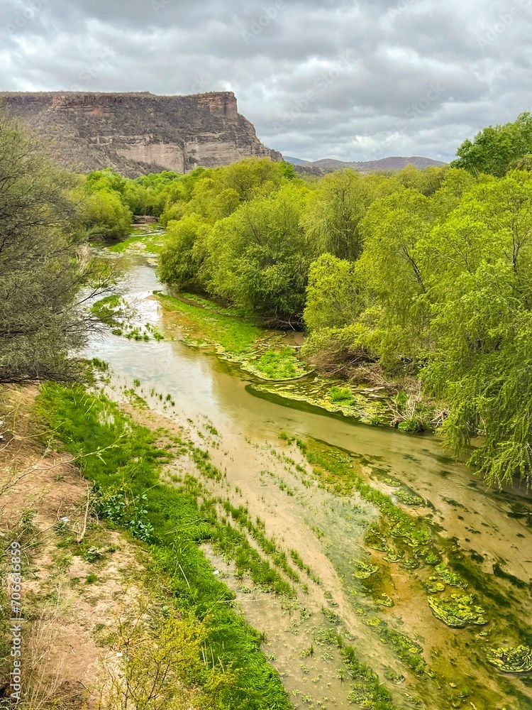 Green landscape of the Sonora River in the El Gavilan property, municipality of Ures Sonora Mexico.