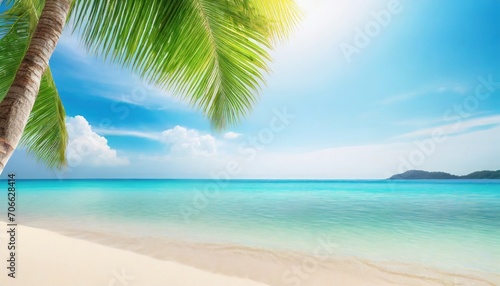 tropical island paradise beach green coconut palm tree leaf sand blue sea water turquoise ocean sun sky white cloud beautiful landscape summer holidays vacation travel banner empty copy space © Irene