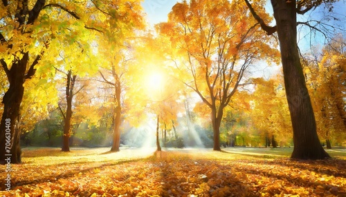 beautiful natural autumn background sunlight shining through orange golden yellow tree foliage fall in a park bright sun beams