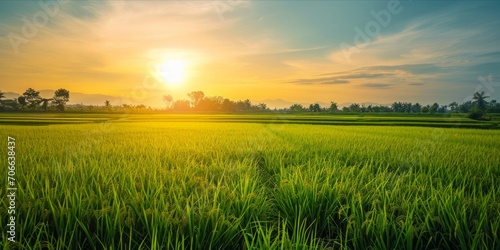 As the Sun Sets Over Rice Fields in China and Vietnam  Organic Farming Yields Fresh  Ripe Grains  Nourishing Nations  Generative AI