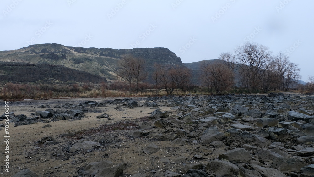 Rocky, rugged mountainous landscape at Frenchman Coulee with brown trees in Washington state, USA Rocky, rugged mountainous landscape at Frenchman Coulee with brown trees in Washington state, USA