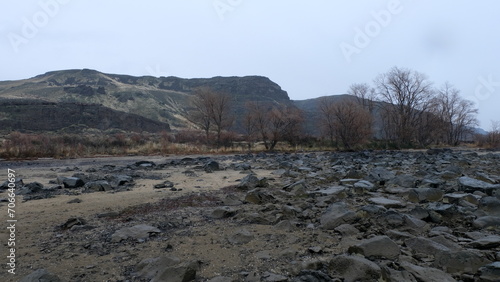 Rocky, rugged mountainous landscape at Frenchman Coulee with brown trees in Washington state, USA