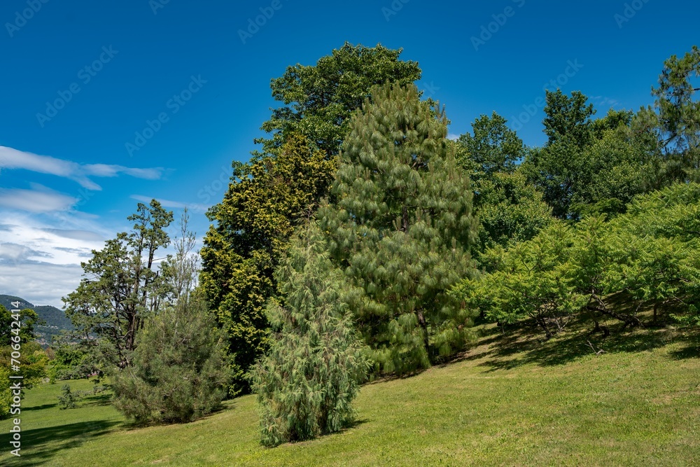 View of the park of the Verbania city, north Italy