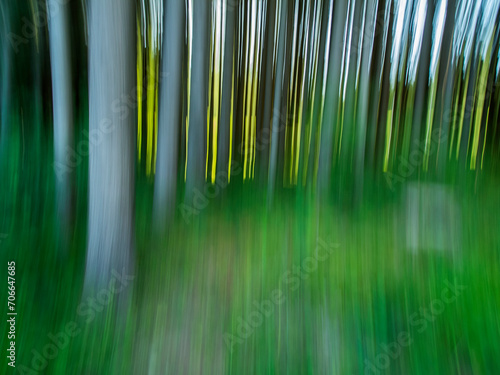 Experimental long exposure in the forest