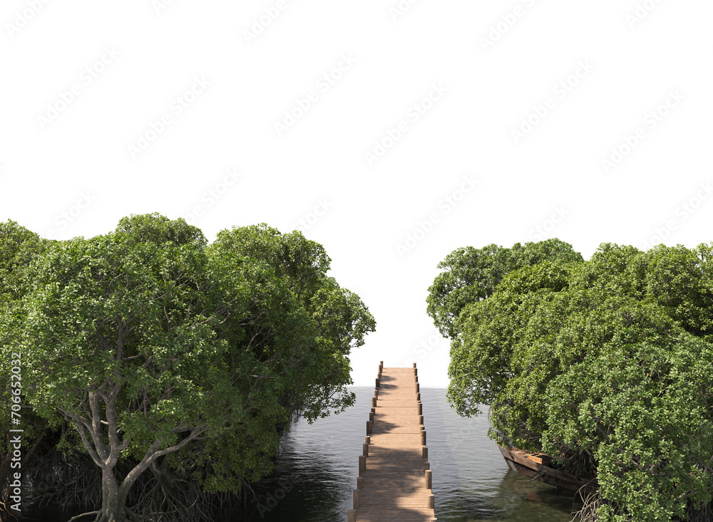 wooden path through mangrove forest	
