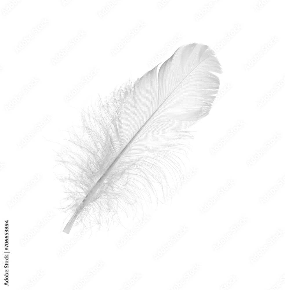Beautiful fluffy bird feather isolated on white Beautiful fluffy bird feather isolated on white