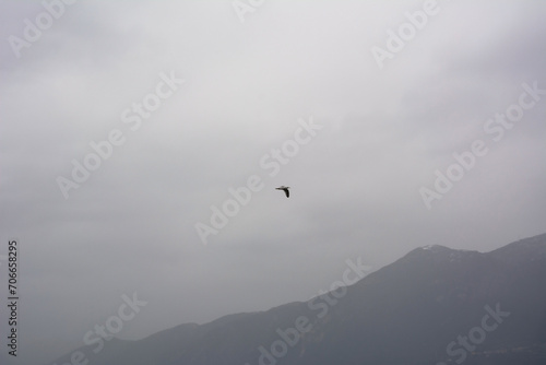 A seagull flies over the mountains against the background of a foggy sky without clouds and the sun