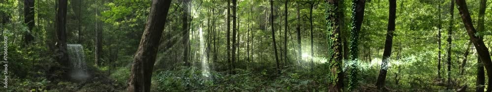 Forest background loop