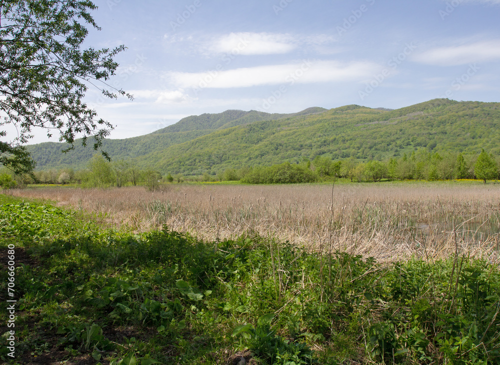 Fototapeta premium Spring walks in a mountain valley on a sunny morning along a path leading to an unexplored forest.