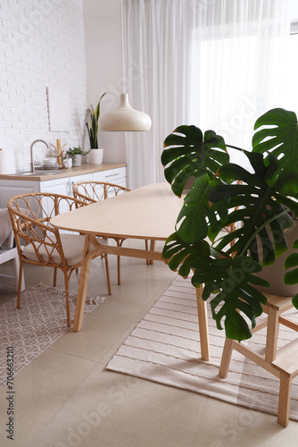 Interior of modern dining room with green houseplant © Pixel-Shot