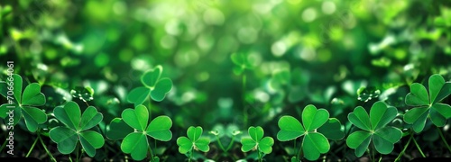 Green background with three-leaved shamrocks, Lucky Irish Four Leaf Clover in the Field for St. Patricks Day holiday symbol
