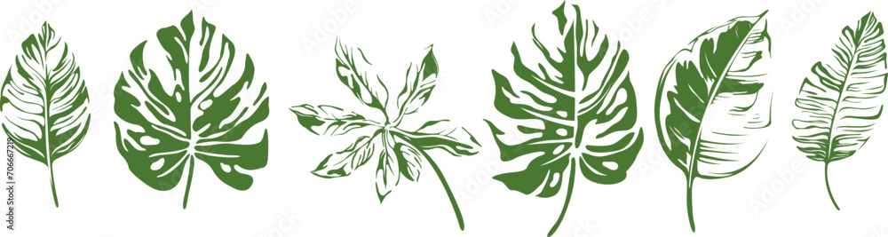 Abstract set of tropical leaves isolated on white background. Hand drawn illustration collection. - obrazy, fototapety, plakaty 