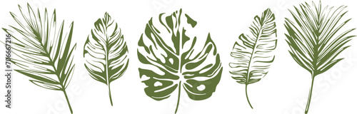 Abstract set of tropical leaves isolated on white background. Hand drawn illustration collection.