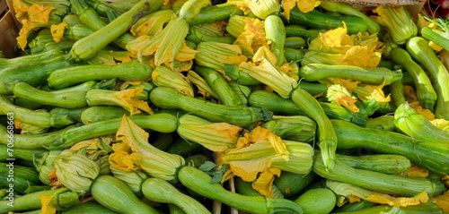 Fresh zucchini with blossoms
