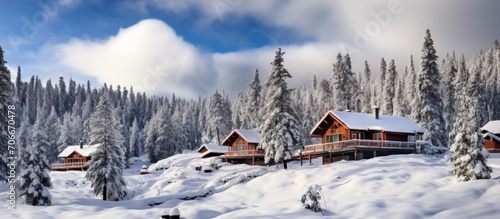 Hillside cabins in winter park. © AkuAku