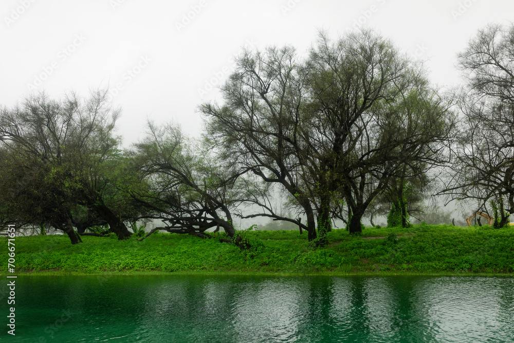 The picturesque nature in Salalah in the autumn season The picturesque nature in Salalah in the autumn season
