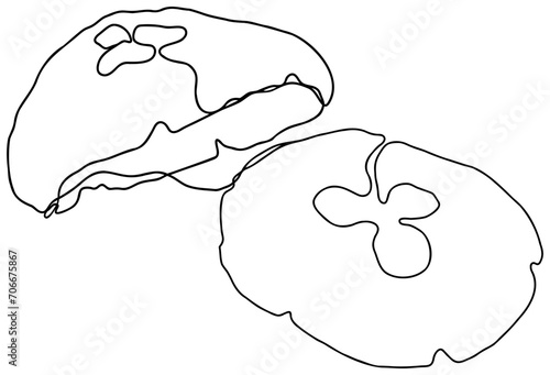 Jellyfish One Line Art