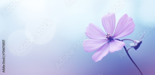 a purple flower with leaves in it is the background