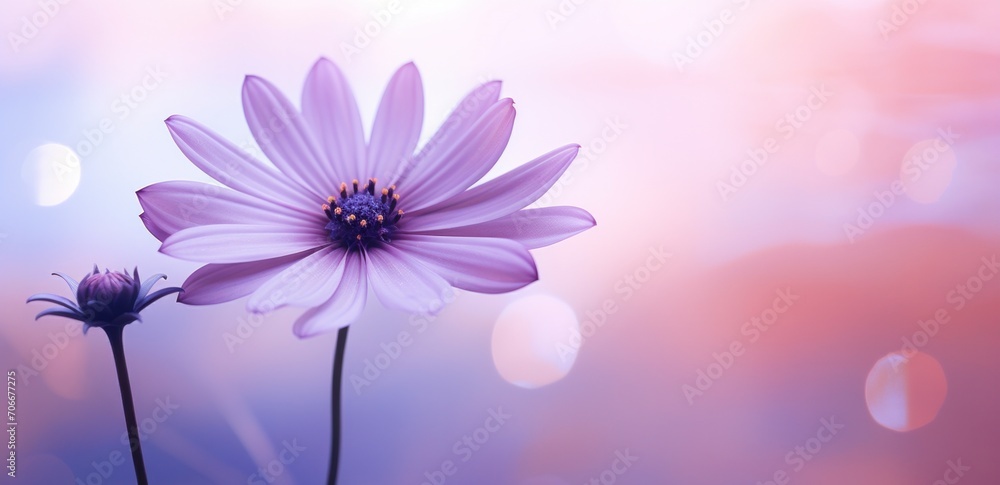 Obraz premium a purple flower with leaves in it is the background
