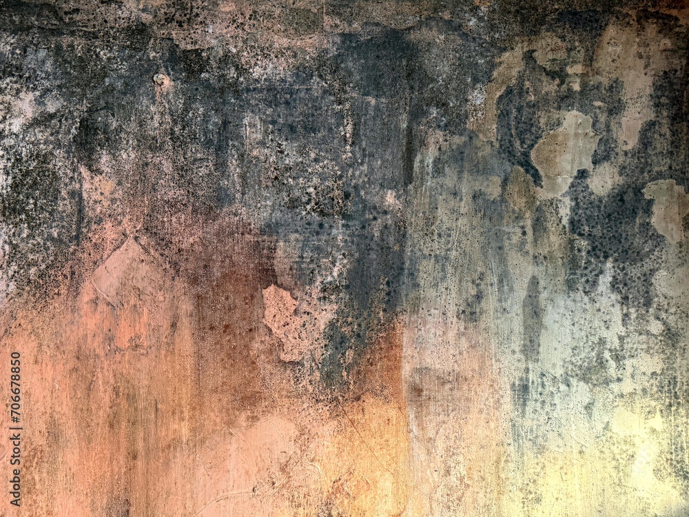 Old wall with mold stains 