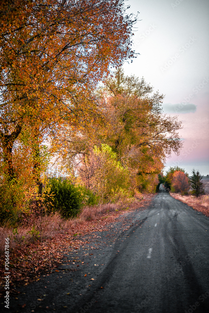 Dream road in  the autumn colors . Raod over the forest. Red and yellow colors . Sunset over the road. Hole on the middle part of the road 