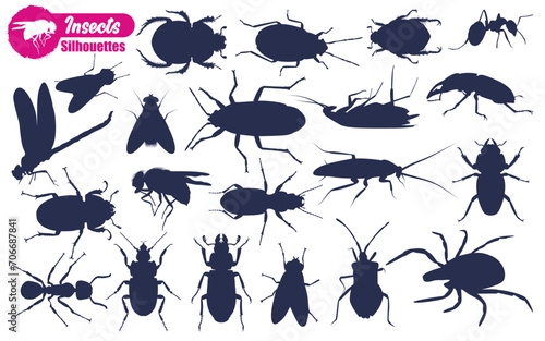 Different types of Insect Silhouettes vector