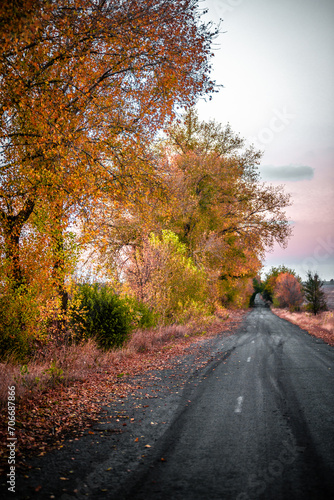 Dream road in the autumn colors . Raod over the forest. Red and yellow colors . Sunset over the road. Hole on the middle part of the road 