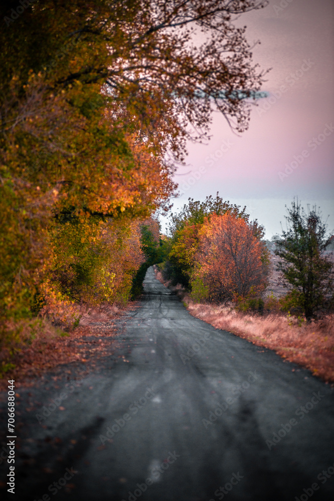 Dream road in  the autumn colors . Raod over the forest. Red and yellow colors . Sunset over the road. Hole on the middle part of the road 