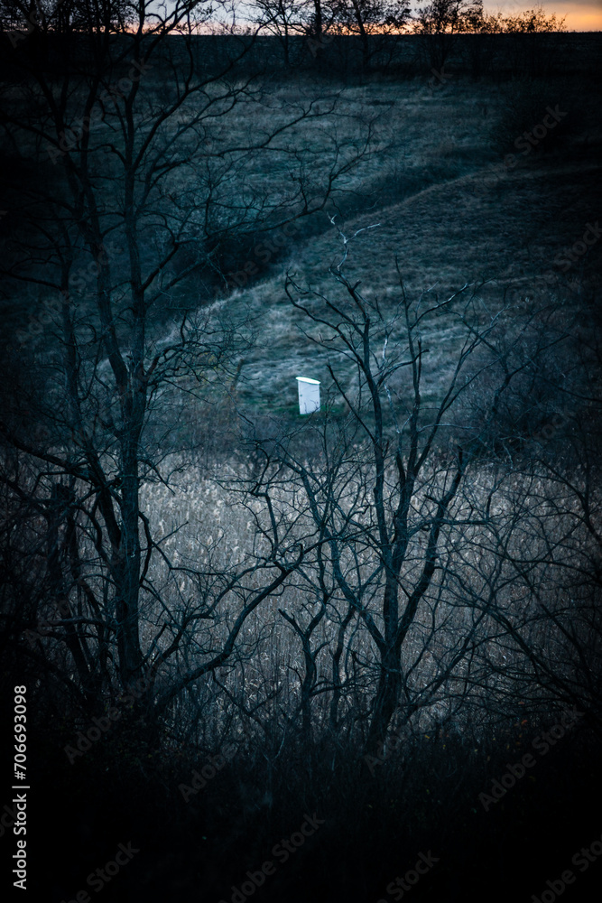 Obraz premium Autumn forest . View from the top . Yellow and grey trees in the forest . Landscape with forest . Sunset ofer the hills . Beautiful forest landscapes 