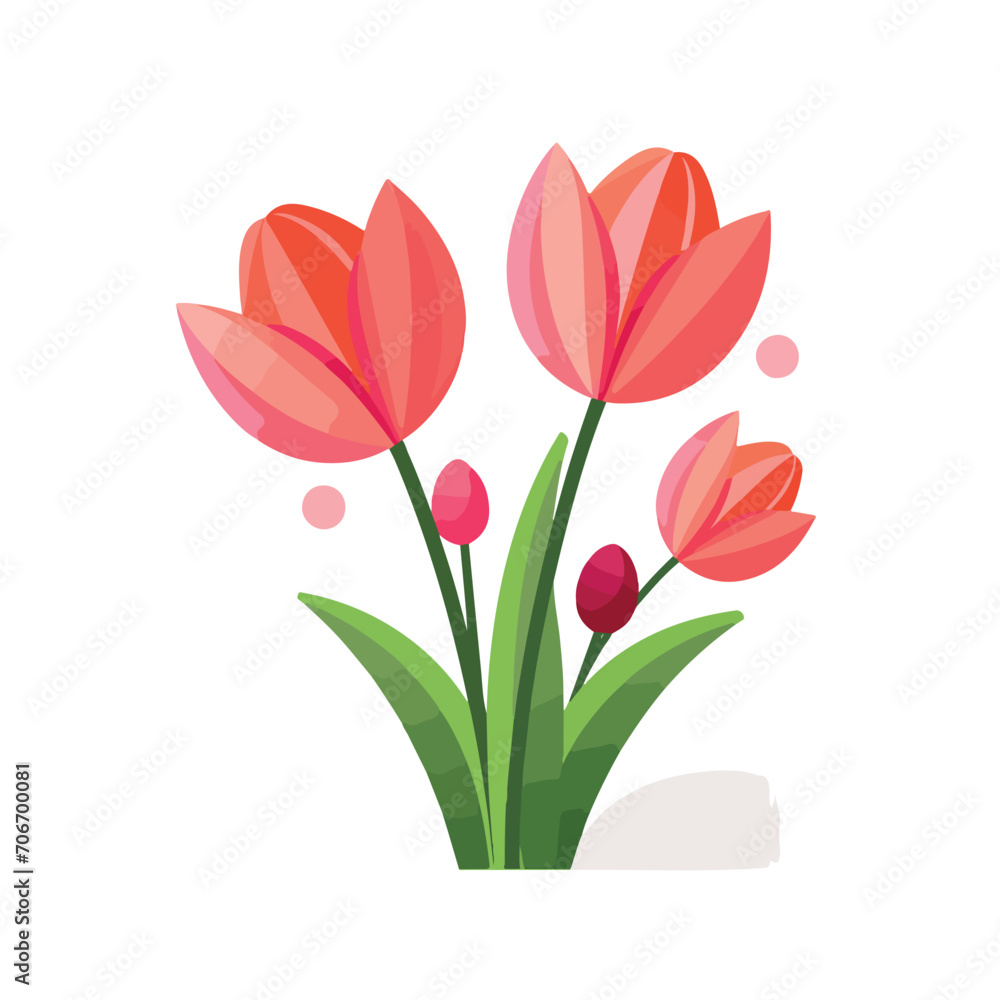 bouquet of pink tulips illustration vector
