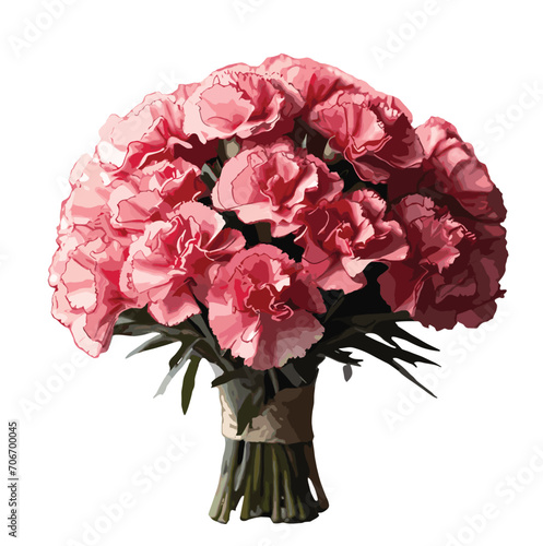 bouquet of pink color Carnation flower vector artwork 