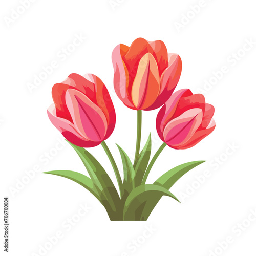 bouquet of pink tulips illustration vector 