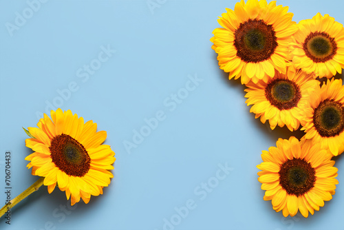 Beautiful sunflowers on blu...