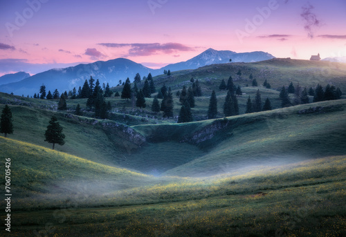 Beautiful mountain valley with green hills in fog, pine trees, mountain peaks in haze, pink sky, sunlight at sunset in summer. Scenery. Alpine meadows at dusk in Velika Planina, Slovenia. Nature photo