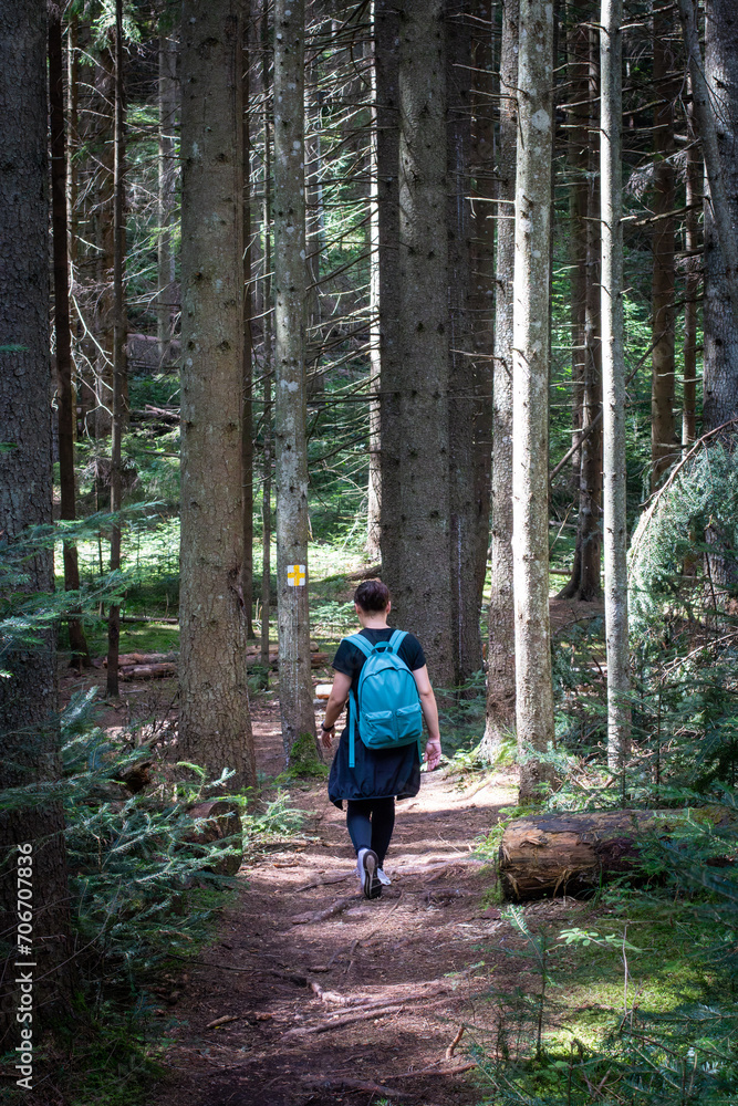 Young women with back pack hiking on a forest trail. Young women with back pack hiking on a forest trail.