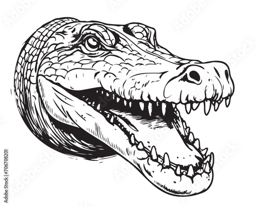 Crocodile head sketch hand drawn in doodle style illustration