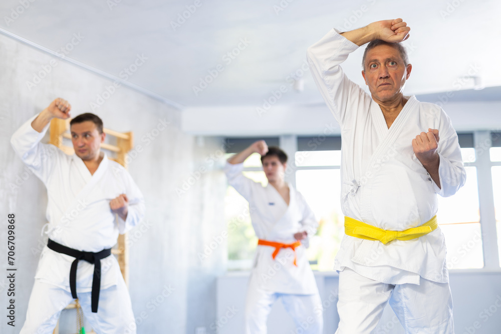 Elderly male karateka practicing karate technique in group in gym