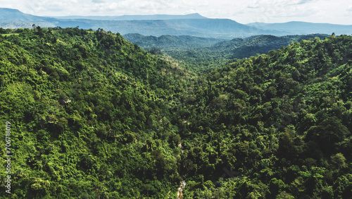 High angle view Aerial photograph of forest