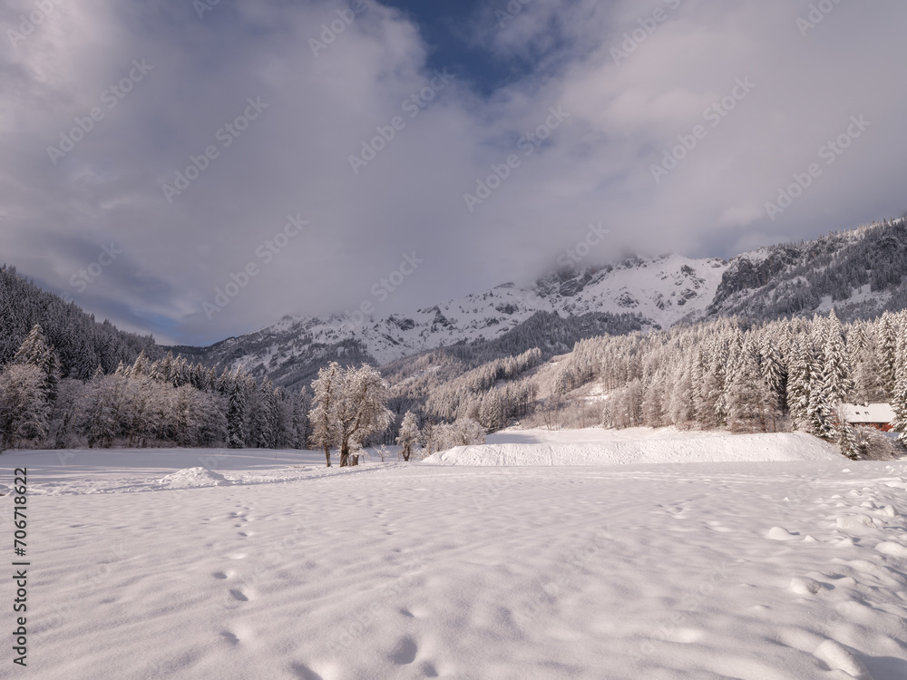 Winterlandschaft in der Steiermark, Österreich