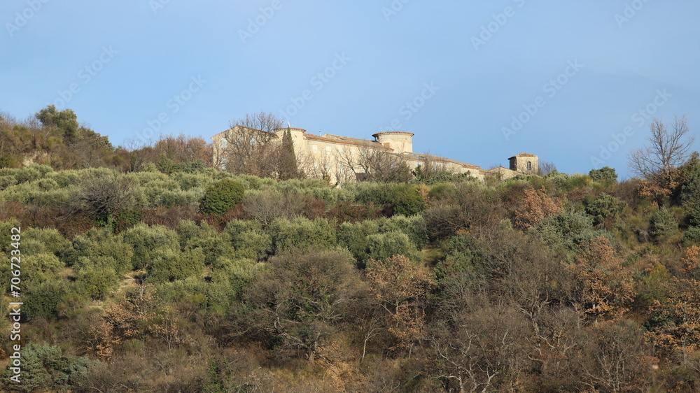 Fototapeta premium oliveraie de Haute Provence