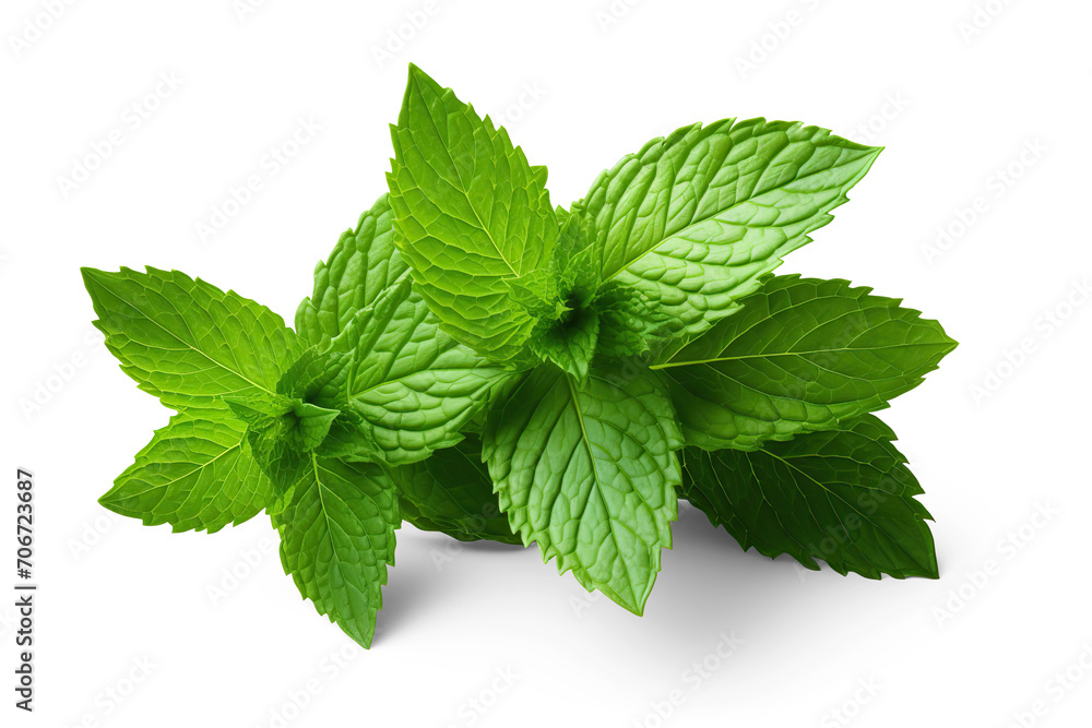 Mint leaves. Cut out on transparent Mint leaves. Cut out on transparent
